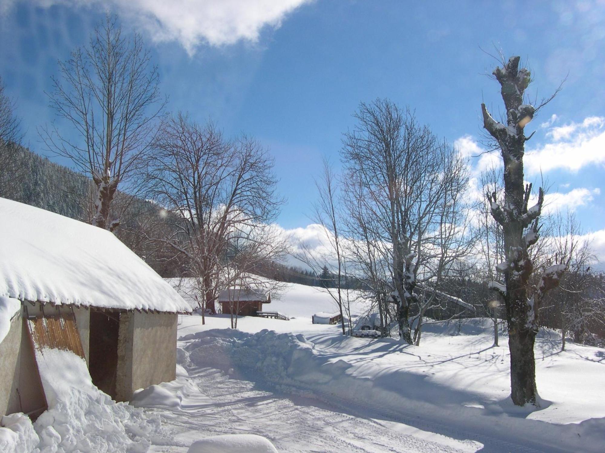 Auberge Des Montauds - Hotel & Restaurant Villard-de-Lans Bagian luar foto